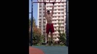 dogpullup.webm