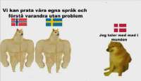 1000016869.webp