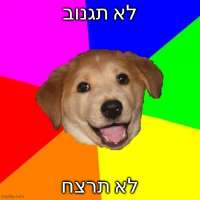 17570851172721.jpg