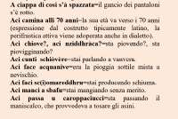 a ciappa.png