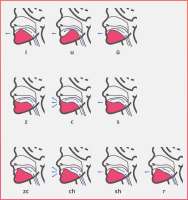 tonguepositionspinyinchinese.jpg