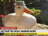 1752957617681.jpeg