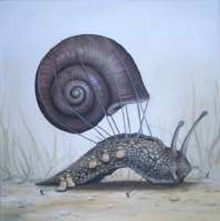 10897963escargot-ballon-50-x-50-cm-cadre.jpg