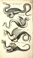 Historiaenaturalisdequadrupetibuslibri-cumaeneisfiguris;(HistoriaenaturalisdeserpentibuslibriII;HistoriaenaturalisdeinsectislibriIII;Historiaenaturalisdeexanguibusaquaticis(14749348281).jpg