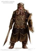 oin-erebor-armour-03-nk.jpg