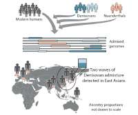 twopulsesofarchaicdenisovanadmixture1703.jpg