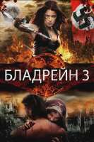 300x450.webp