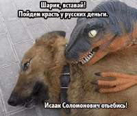 171.jpg