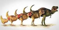 dinosaurevolution-750x385.jpg