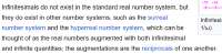 Screenshot 2025-07-25 at 22-54-28 Infinitesimal - Wikipedia.png