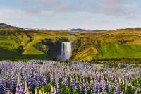 ThemidnightsuninIceland-4.jpg