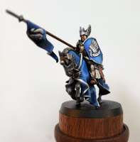 knight-of-dol-amroth.jpg
