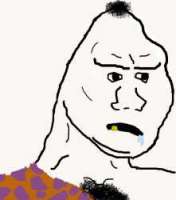 15507758420450.jpg