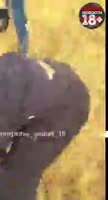 15820077308930.mp4