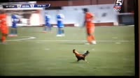 1582366072225.mp4