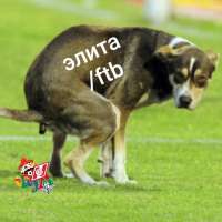 15738220937750.jpg