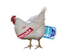 zx7ubWxhA4A.jpg