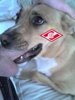 929642CF-2655-4BB3-B919-7F3841AD0762.png