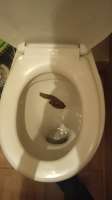 IMG20200626131035.jpeg