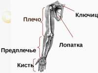 80c693360f4d7cafdac5bda9a3cdf804.jpg