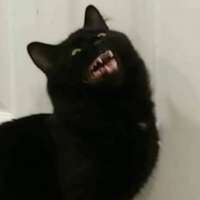 1593450035417.jpeg
