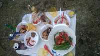 WP20140427191428Pro.jpg