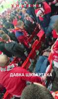 15562162009080.jpg