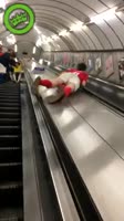 vniz na eksalatore.webm
