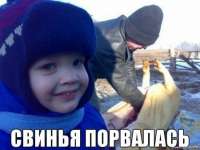 изображение.png