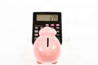 depositphotos301060094-stock-photo-accounting-business-pigg[...].jpg