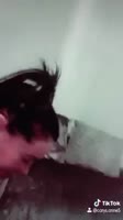 15950707179910.webm