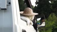 15796910757652.webm
