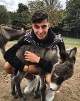 kaihavertz29688668715313771276367592390949865168435715n.jpg