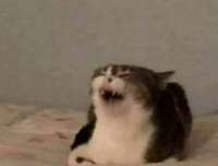 pTg-EOwPHso.jpg