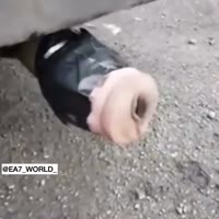 16034623828210.mp4