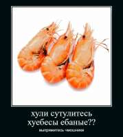 1611905231000.jpeg