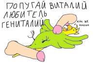 бомжепопугай.png