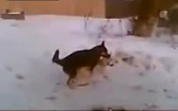 1572697809117.webm