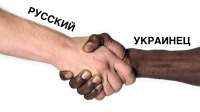 15101687346870.jpg