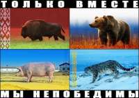 16242956209040-b.png