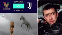 1748279177059.mov