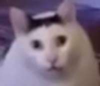 17156089795990.jpg