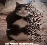 17308058100910.png