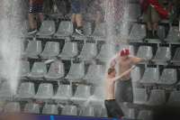 25445.webp