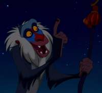 Profile-Rafiki-1024x936.jpg