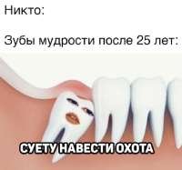 27901e39385be9b885f613903e723c79.jpg