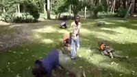 14638255282890.webm