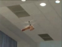 16819277008980.webm