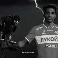VID20250731182030101.mp4