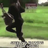 funny-sterling.gif